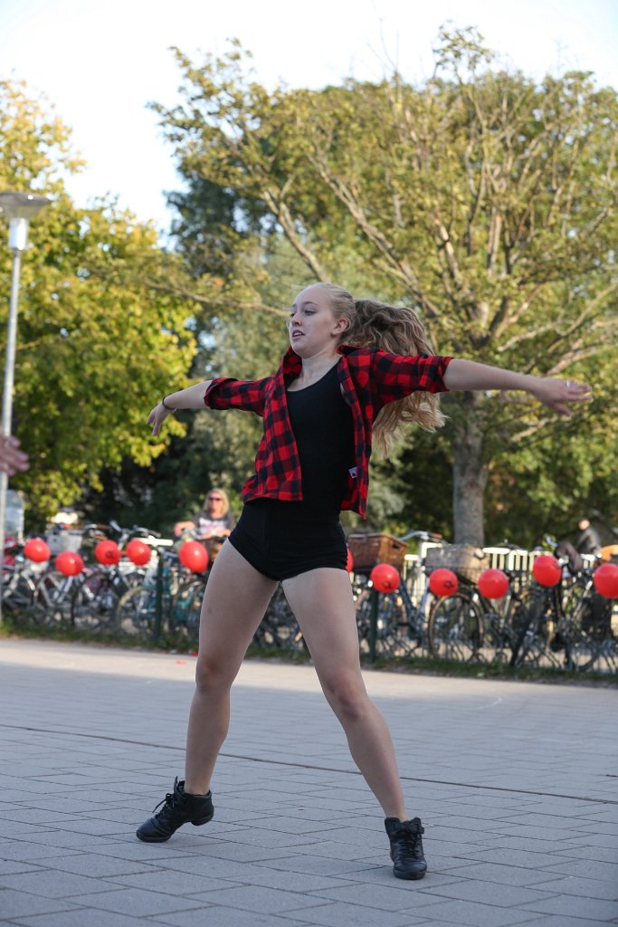 Schoolplein Festival B 290.jpg